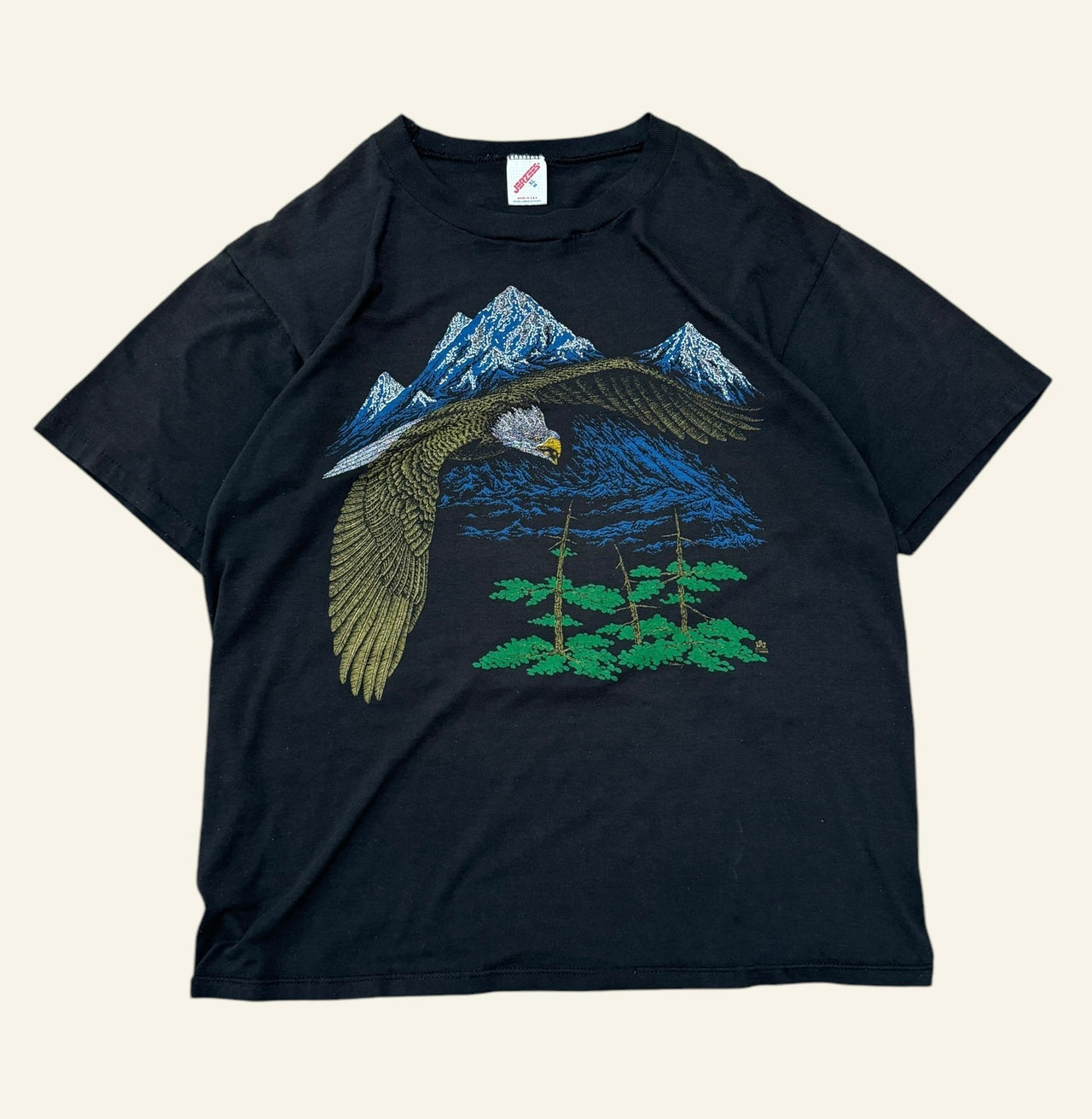 90s Eagle Mountain Tee